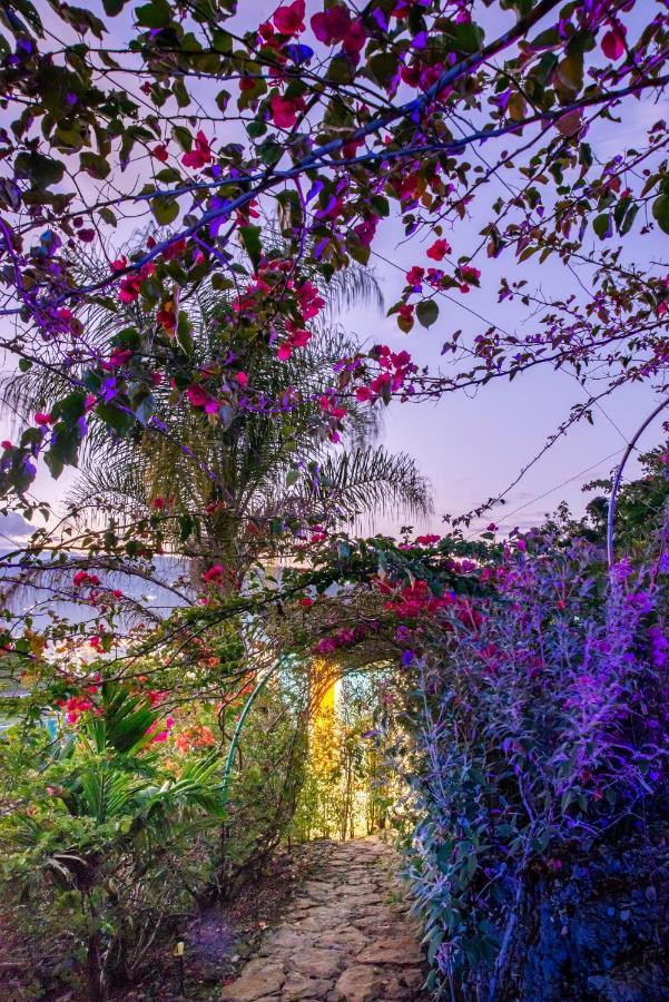 Sunset Palm Lodge サン・ヒル エクステリア 写真