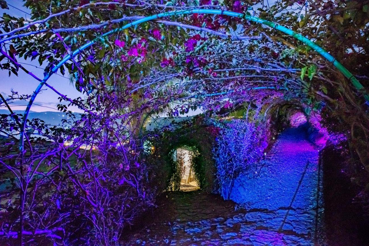 Sunset Palm Lodge サン・ヒル エクステリア 写真