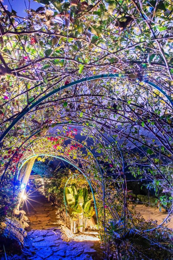 Sunset Palm Lodge サン・ヒル エクステリア 写真
