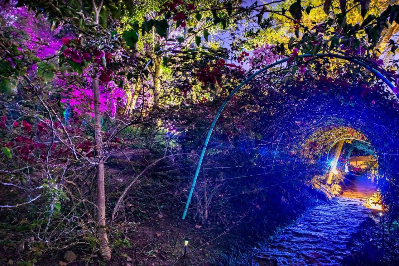 Sunset Palm Lodge サン・ヒル エクステリア 写真